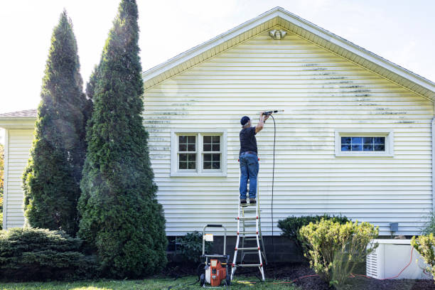 Best Soft Washing for Delicate Surfaces in Window Rock, AZ